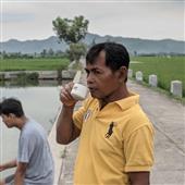 Rồn